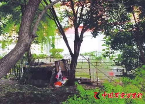 {飺LIcIì ·?