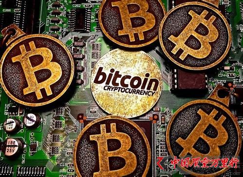 Upbit{鄡ҪD؎_