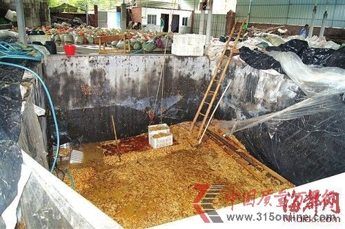 在這個數十平方米的大池子里,黑心商家用工業(yè)檸檬酸泡出了35噸金針菇 在這個數十平方米的大池子里,黑心商家用工業(yè)檸檬酸泡出了35噸金針菇