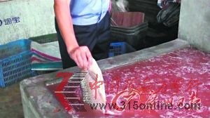 ①?gòu)膼撼綦缰瞥啬贸龅乃吏~(yú)。